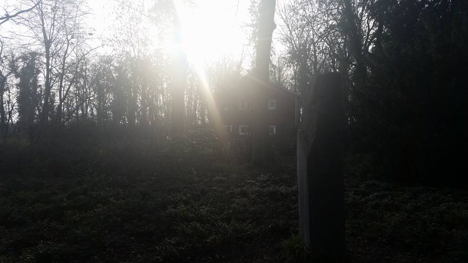 Natur