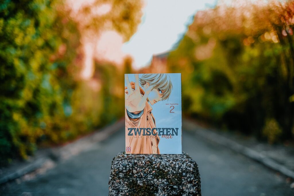 "Zwischen dir und mir“, Haru Tsukishima, Kazé, Crunchyroll, Shojo Manga, Shoujo, Rezensionsexemplar, 私たちには壁がある。, Watashi-tachi ni wa Kabe ga Aru, 築島治