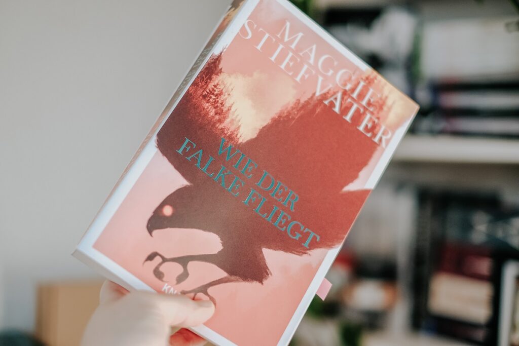 "Wie der Falke fliegt", Maggie Stiefvater, Knaur Verlag, Droemer Knaur, Urban Fantasy, Raven Boys, Ronan Lynch, Carmen Farooq-Lane, Jordan Hennessy, Jessika Komina, Sandra Knuffinke, Dreamer Trilogie