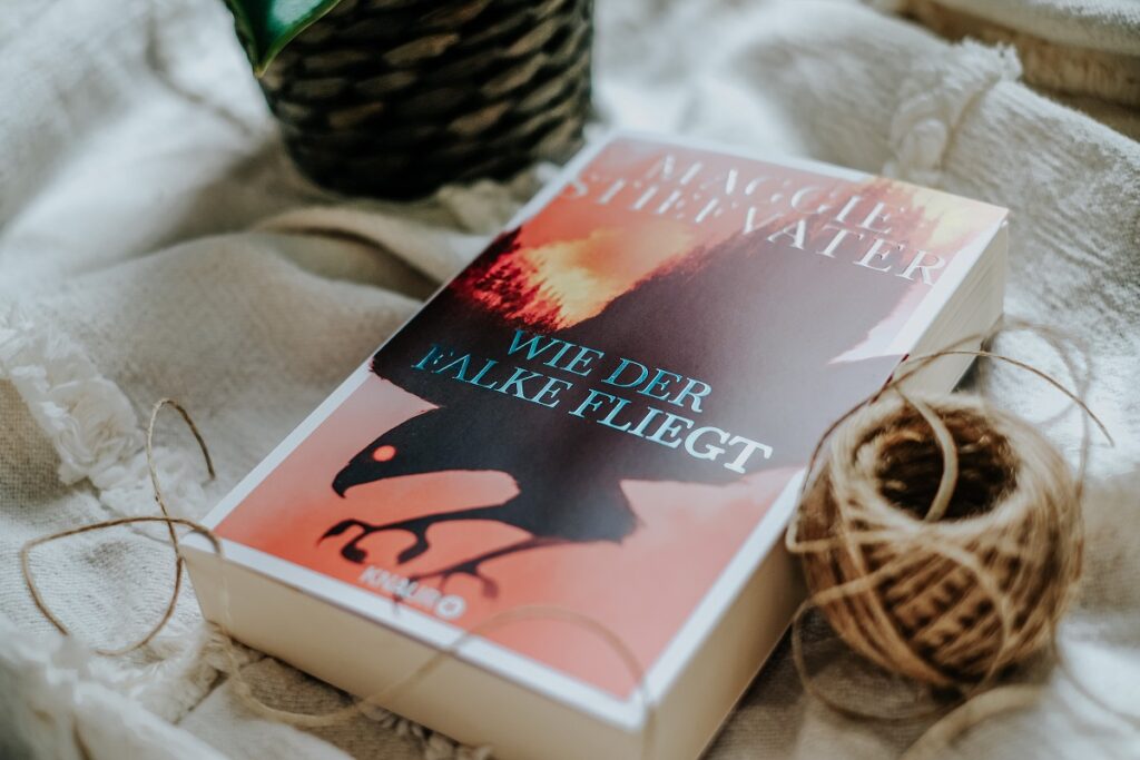 "Wie der Falke fliegt", Maggie Stiefvater, Knaur Verlag, Droemer Knaur, Urban Fantasy, Raven Boys, Ronan Lynch, Carmen Farooq-Lane, Jordan Hennessy, Jessika Komina, Sandra Knuffinke, Dreamer Trilogie