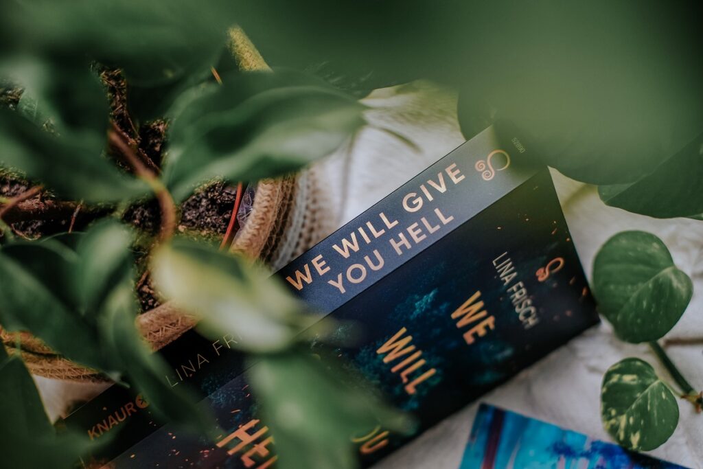 „We will give you Hell“, Lina Frisch, Knaur Verlag, Hellea, Schweden, Wikinger, Queerbooks, Feminismus, Wut, Welt verändern, sich selbst finden, LGTBQ, Freundschaft