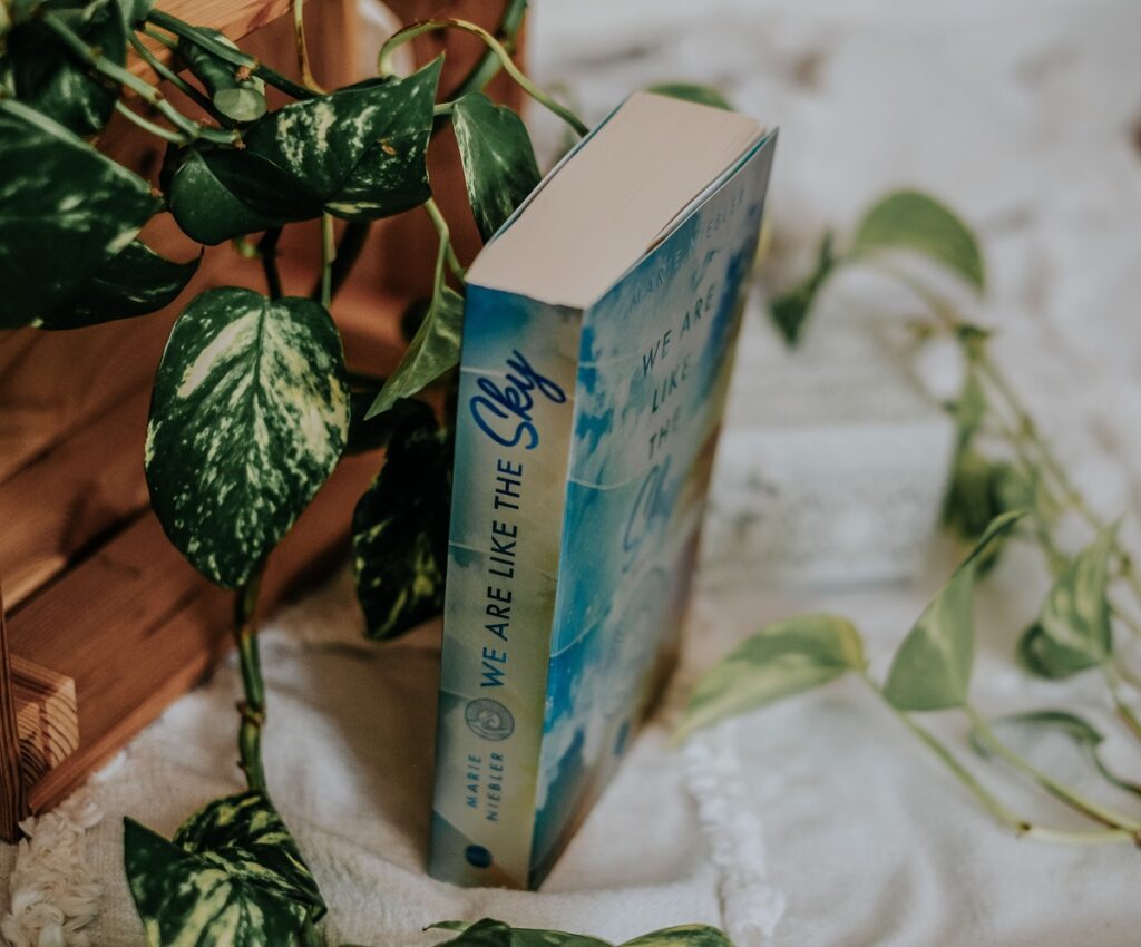 „We are like the sky“, Marie Niebler, zweite Band der „Like-Us“-Trilogie, HarperCollins Verlag, „We are like the Sea“, Cozy vibes, Vancouver Island, New-Adult, Wohlfühl Buch, Romance Buch, Isbn: 9783745703368