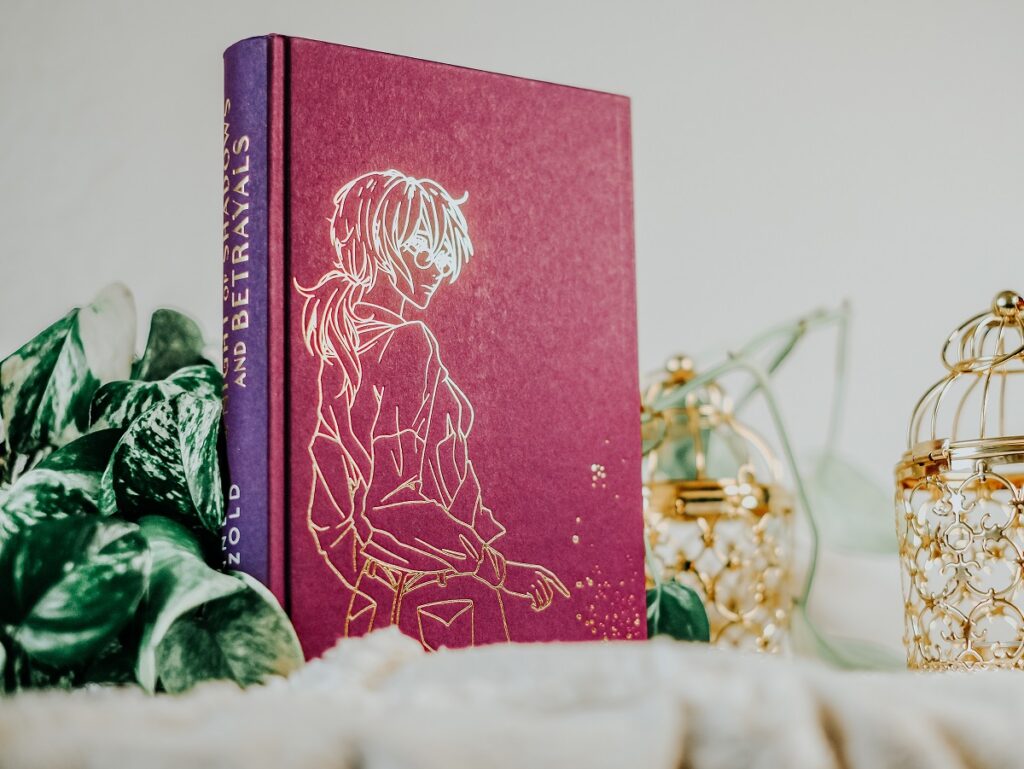 Anne Pätzold, Bastei Lübbe, Lyx Verlag, "A night of promises and blood", Sasha, Winnie, Jo, Fantasy, Vampire, Queer Books, queere Liebesgeschichte, LGTBQ, Romantasy, Liebesgeschichte, Gänsehaut-Momente, „A night of shadows and betrayals“, ISBN: 978-3-7363-1971-4